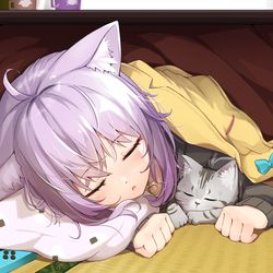 This is a pixiv picture whose title is こたつでねかゆ.