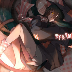 This is a pixiv picture whose title is 野良猫シンドローム.