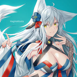 This is a pixiv picture whose title is 銀狐.