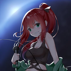 This is a pixiv picture whose title is 团长.