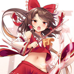 This is a pixiv picture whose title is 異変解決は霊夢さんにお任せ！！.