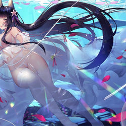 This is a pixiv picture whose title is -花嫁赤城-.