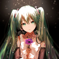 This is a pixiv picture whose title is miku.