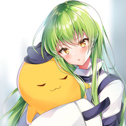 This is a pixiv picture whose title is C.C..