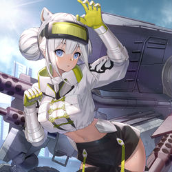 This is a pixiv picture whose title is 解神者-白虎.