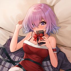 This is a pixiv picture whose title is メリークリスマシュ.