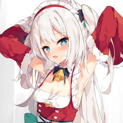 This is a pixiv picture whose title is ハム腋.