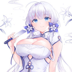 This is a pixiv picture whose title is イラストリアス.