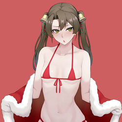 This is a pixiv picture whose title is クリスマス瑞鶴.