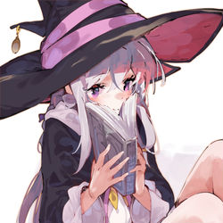 This is a pixiv picture whose title is イレイナさん.