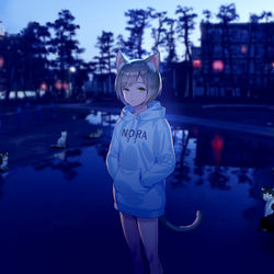This is a pixiv picture whose title is 野良猫がいた.