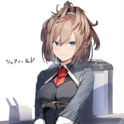 This is a pixiv picture whose title is 【艦これ】シェフィールド.