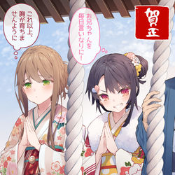 This is a pixiv picture whose title is 初詣、願いはひとつ、月イチで家事の休みを与えてほしい.