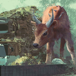 This is a pixiv picture whose title is ハクリ.