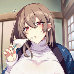This is a pixiv picture whose title is (　)(　).