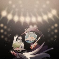 This is a pixiv picture whose title is 白鳥と黒鳥.