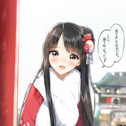 This is a pixiv picture whose title is 初詣.