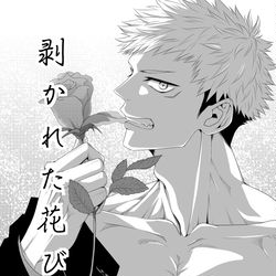 This is a pixiv picture whose title is 【虎釘】剥かれた花びら扉絵.
