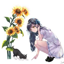 This is a pixiv picture whose title is -Observation-.