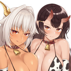 This is a pixiv picture whose title is 丑の亜人姫.