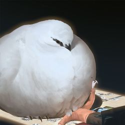 This is a pixiv picture whose title is 進捗だめです.