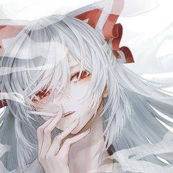 This is a pixiv picture whose title is 藤原妹紅.