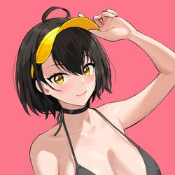 This is a pixiv picture whose title is ボルチモア.