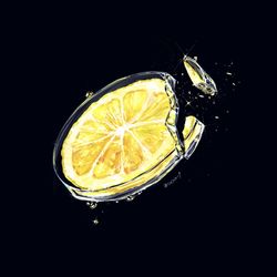 This is a pixiv picture whose title is glass Lemon.