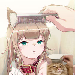This is a pixiv picture whose title is ブラッシングされるきなこを描いてみた.