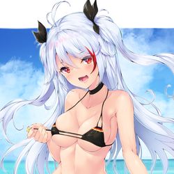 This is a pixiv picture whose title is プリンツ・オイゲン.