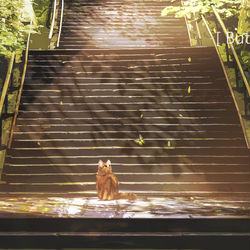 This is a pixiv picture whose title is 猫与蝶.