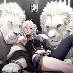 This is a pixiv picture whose title is 獅白ぼたんちゃん.