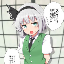 This is a pixiv picture whose title is 妖夢くん♂にスカート穿かせてみた.