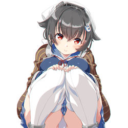 This is a pixiv picture whose title is 迅鯨.