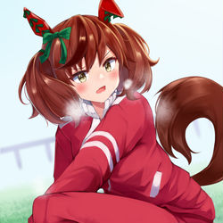 This is a pixiv picture whose title is ナイスネイチャ.