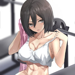This is a pixiv picture whose title is Mikasa ackerman.