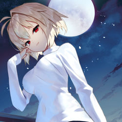 This is a pixiv picture whose title is アルクェイド.