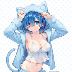 This is a pixiv picture whose title is Nyankoレム💙.