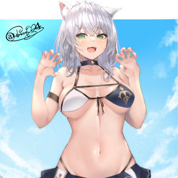 This is a pixiv picture whose title is ねこみみ水着団長.