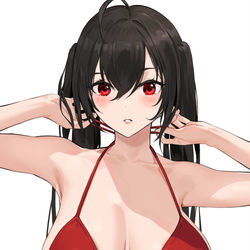 This is a pixiv picture whose title is 大鳳.