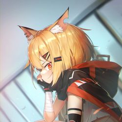 This is a pixiv picture whose title is 🦊.