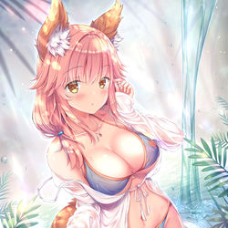 This is a pixiv picture whose title is 水着玉藻の前.