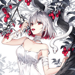 This is a pixiv picture whose title is 白蛇.