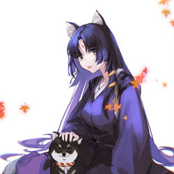 This is a pixiv picture whose title is 略.