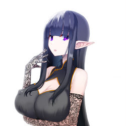 This is a pixiv picture whose title is 黒エルフさん.