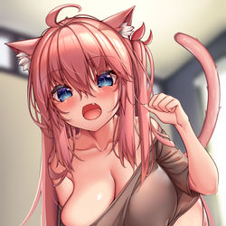 This is a pixiv picture whose title is Nekomia Wakes You Up!.