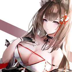 This is a pixiv picture whose title is 天城.