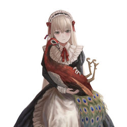 This is a pixiv picture whose title is クジャク.