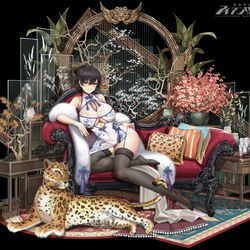 This is a pixiv picture whose title is happy new year.
