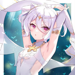 This is a pixiv picture whose title is コッコロたん.